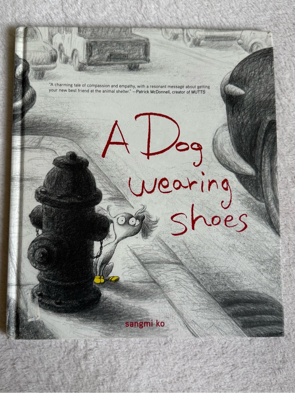 A Dog Wearing Shoes Sangmi Ko Book